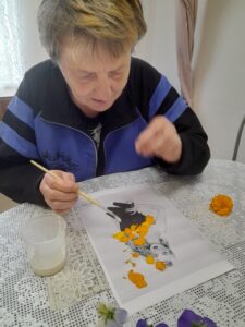 Осенние красавицы